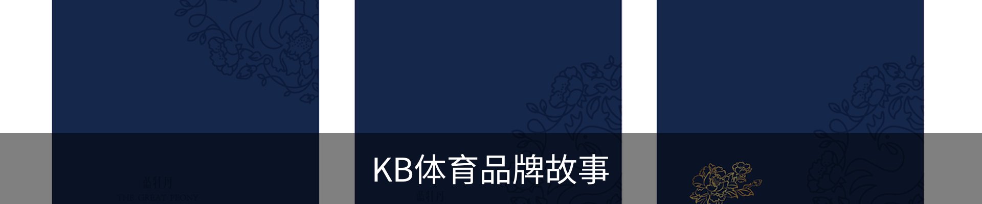 内页banner